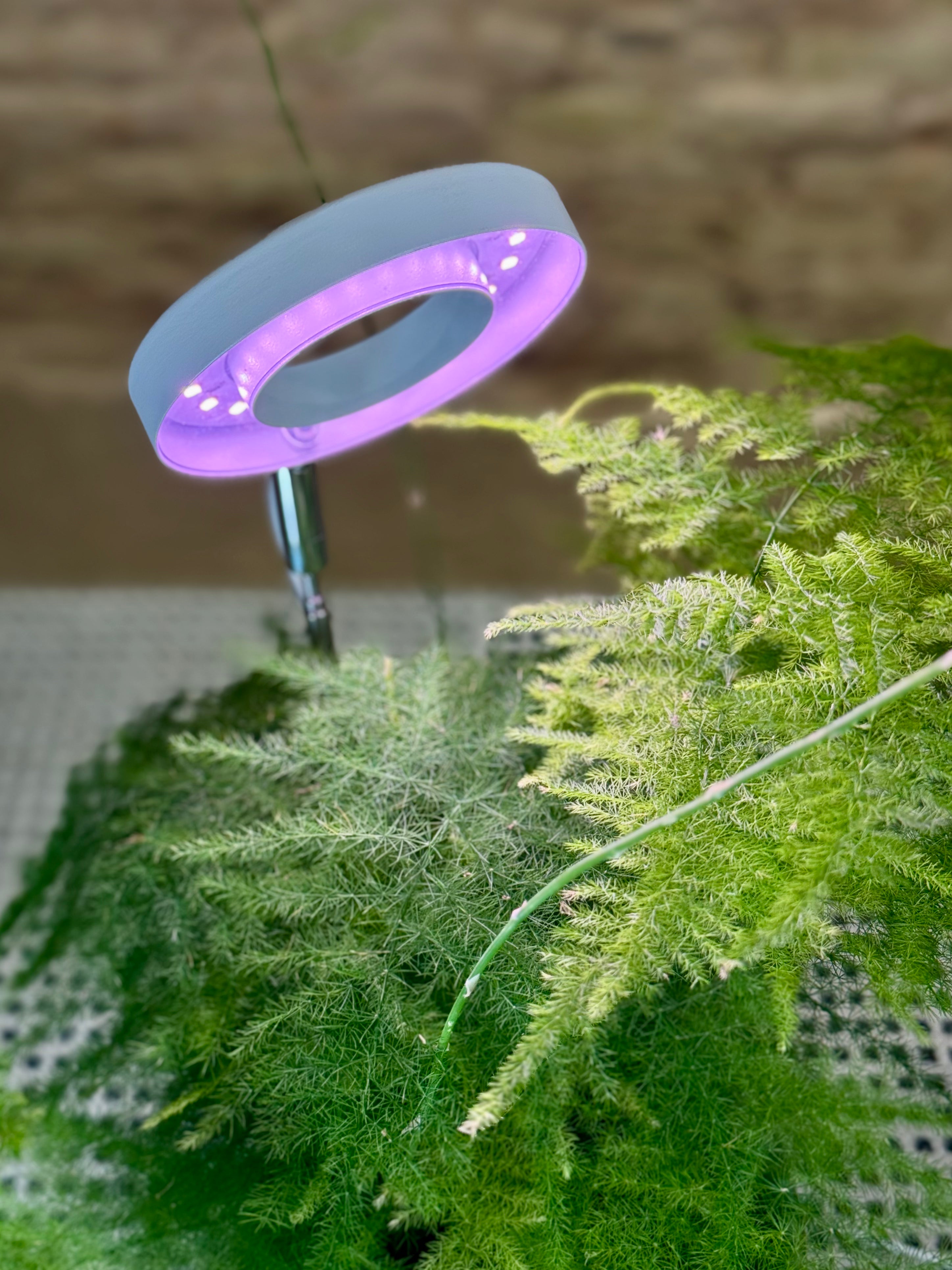 Lámpara LED de Crecimiento para Plantas – Luz de Cultivo USB con Control de Intensidad