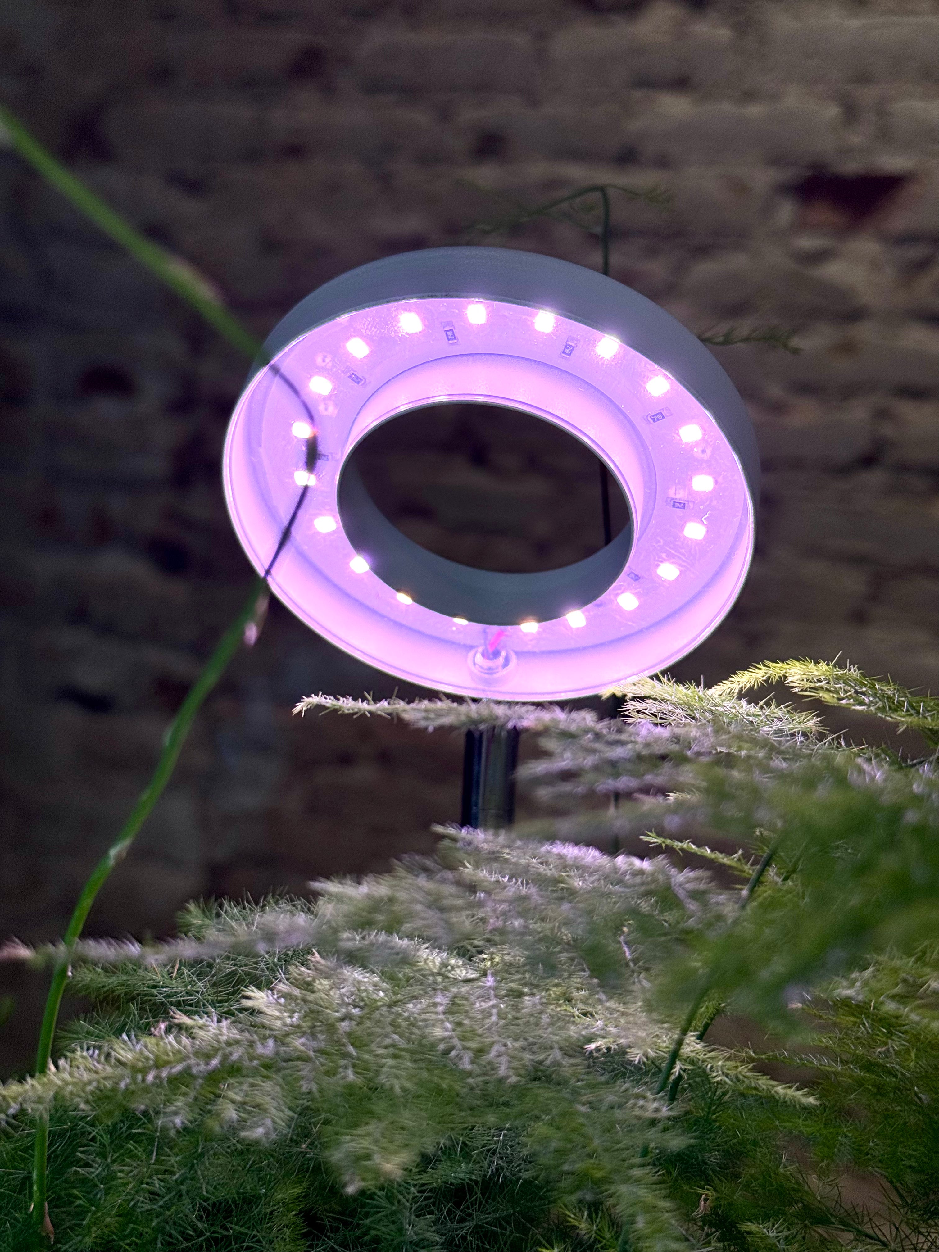 Lámpara LED de Crecimiento para Plantas – Luz de Cultivo USB con Control de Intensidad