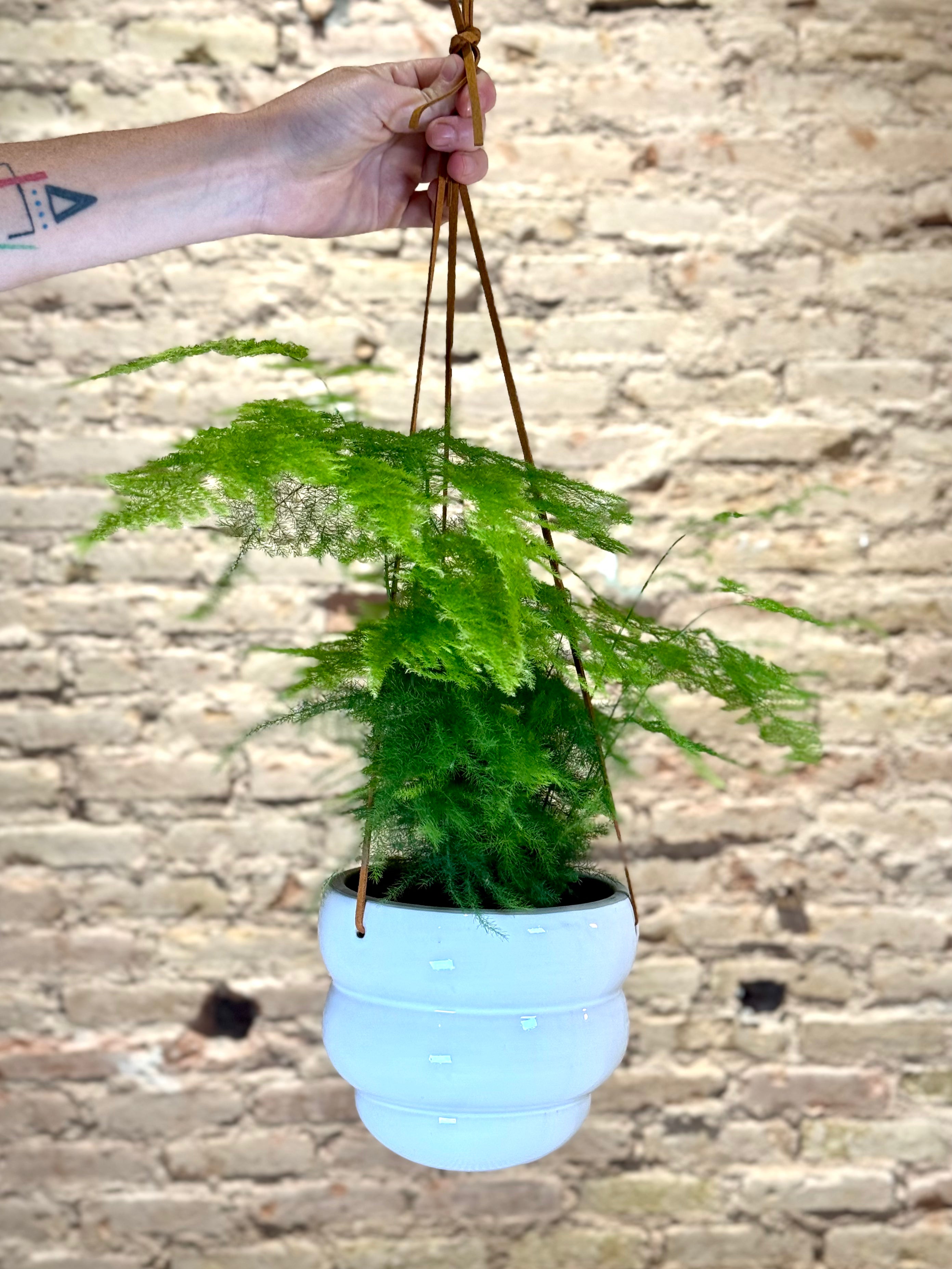 Maceta Colgante Blanca – Porta Plantas de Cerámica con Cuerda