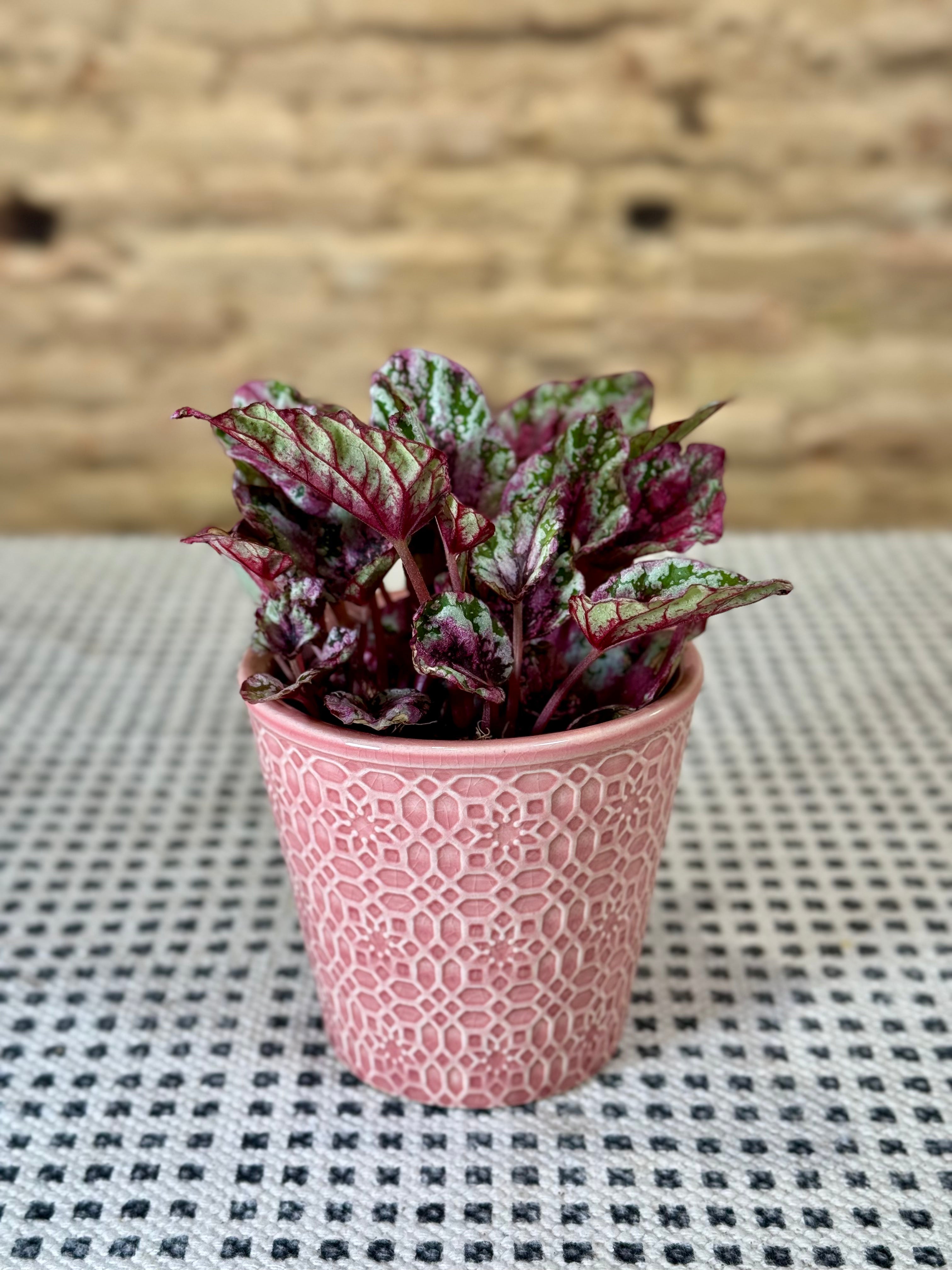 Maceta de cerámica rosa con diseño geométrico en relieve – Macetero decorativo para plantas y flores