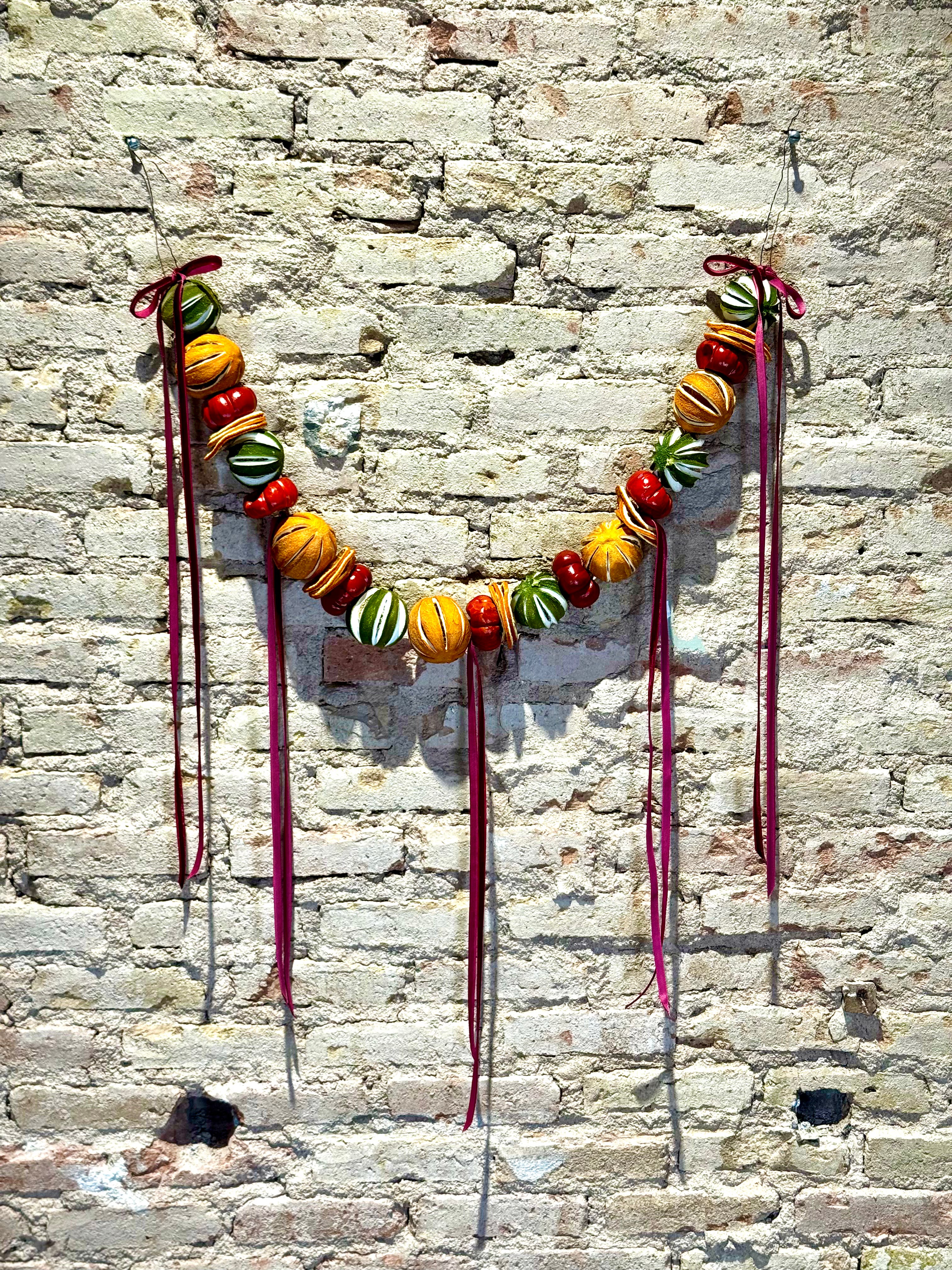 Guirnalda Artesanal de Frutas Secas y Calabacitas | Decoración Natural y Navideña