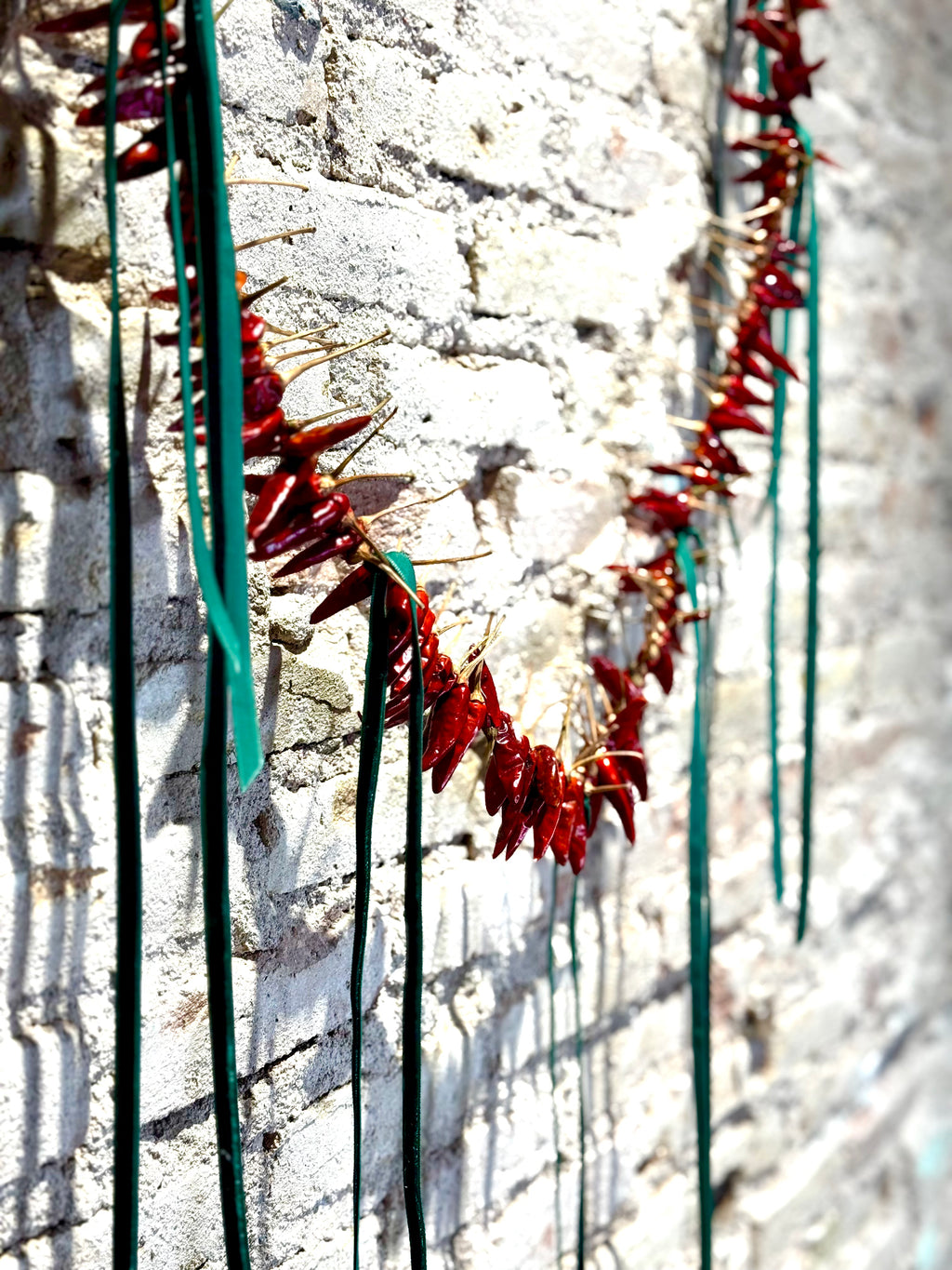 Guirnalda de Guindillas Rojas Secas para Decoración Navideña | Adorno Artesanal de Pared