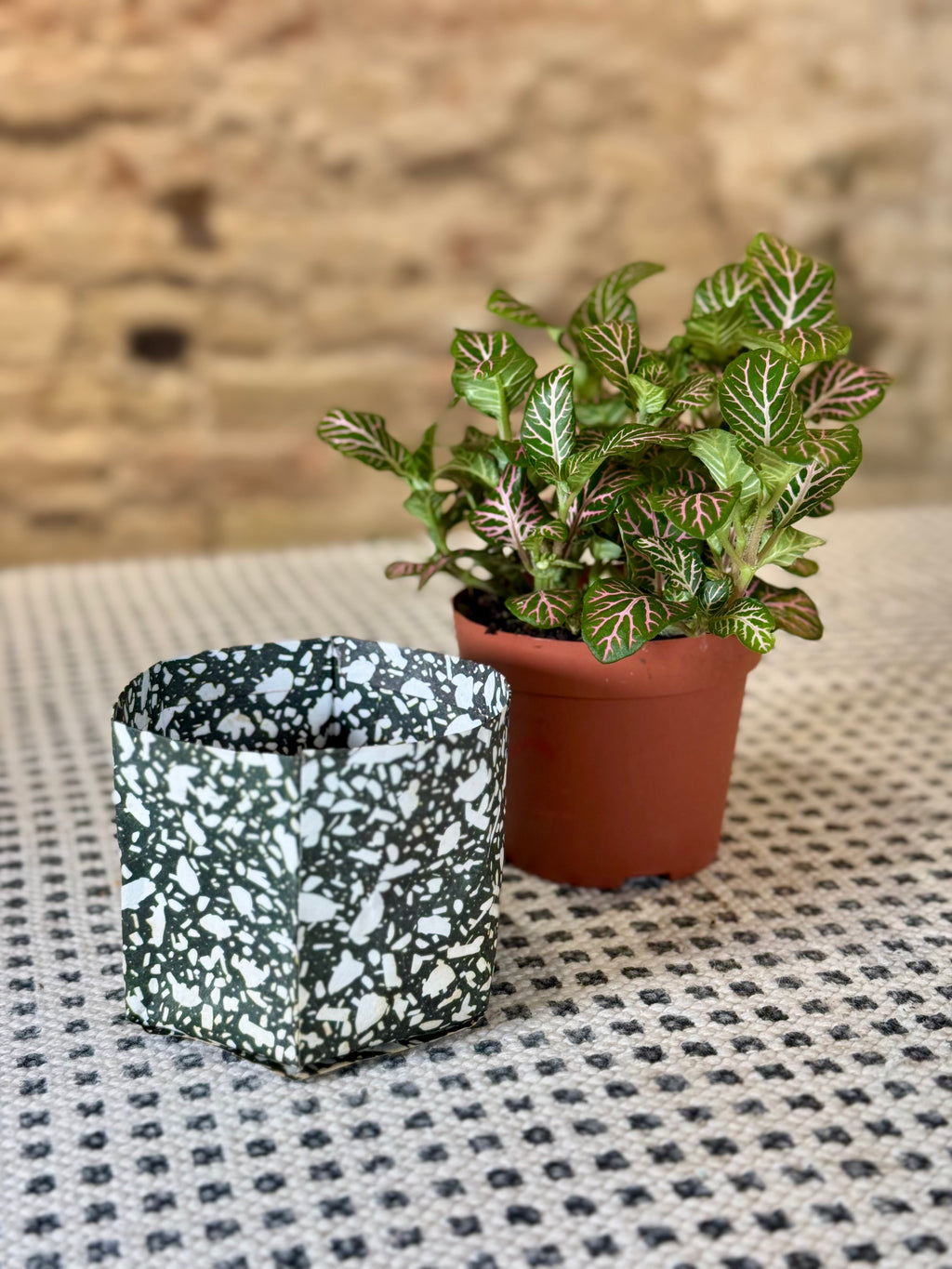 Pack de 3 portamacetas de papel en colores y estampados variados