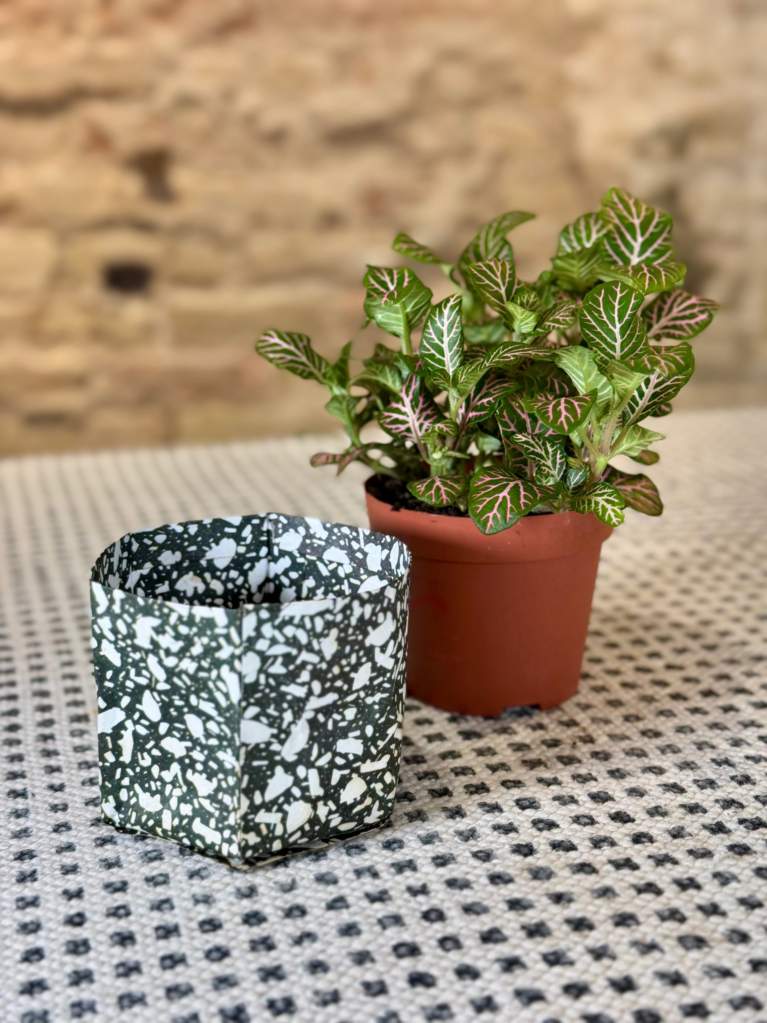 Pack de 3 portamacetas de papel en colores y estampados variados