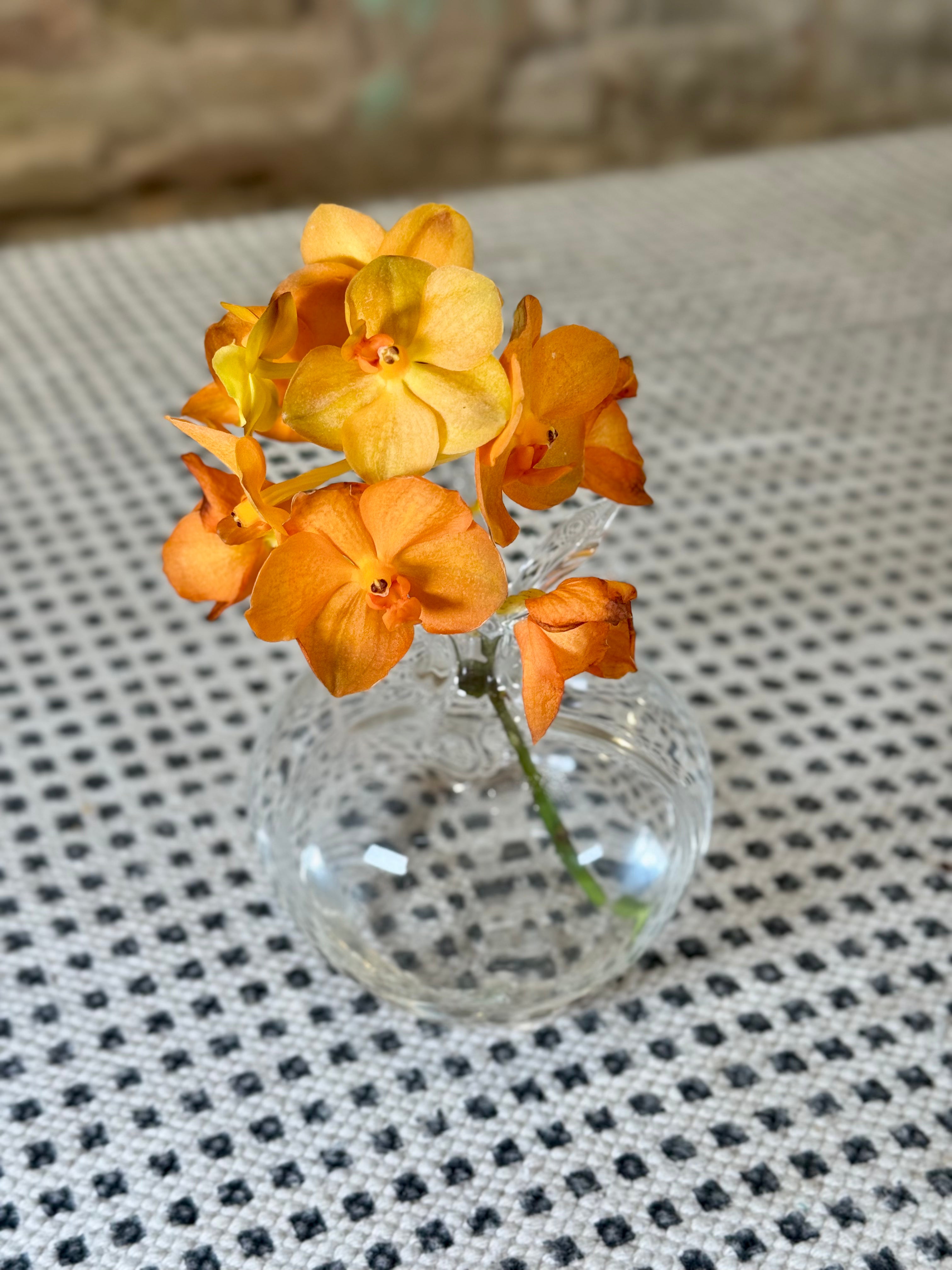Conjunto de dos floreros de vidrio transparente para flores pequeñas