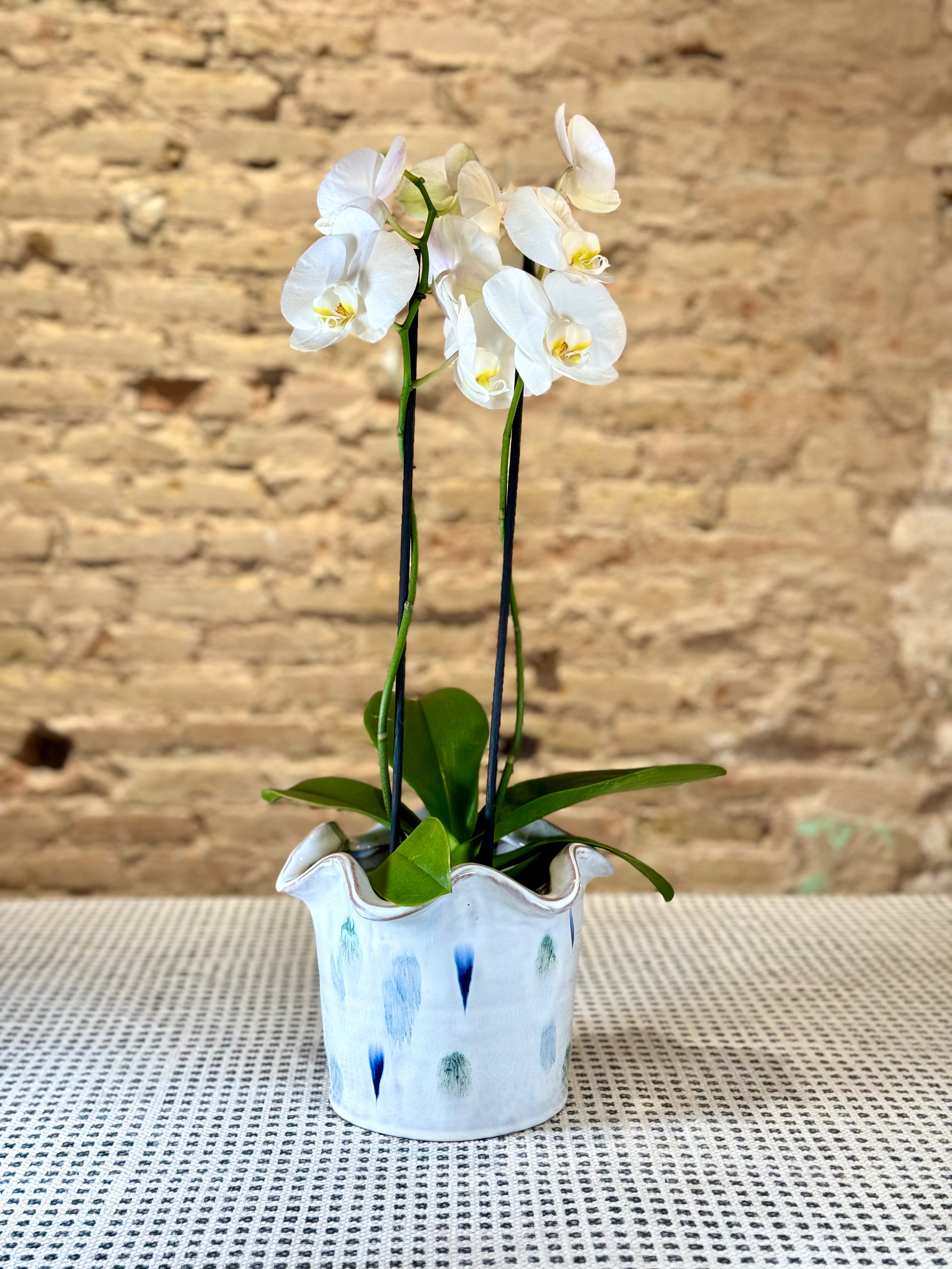 Portamacetas Gaudí