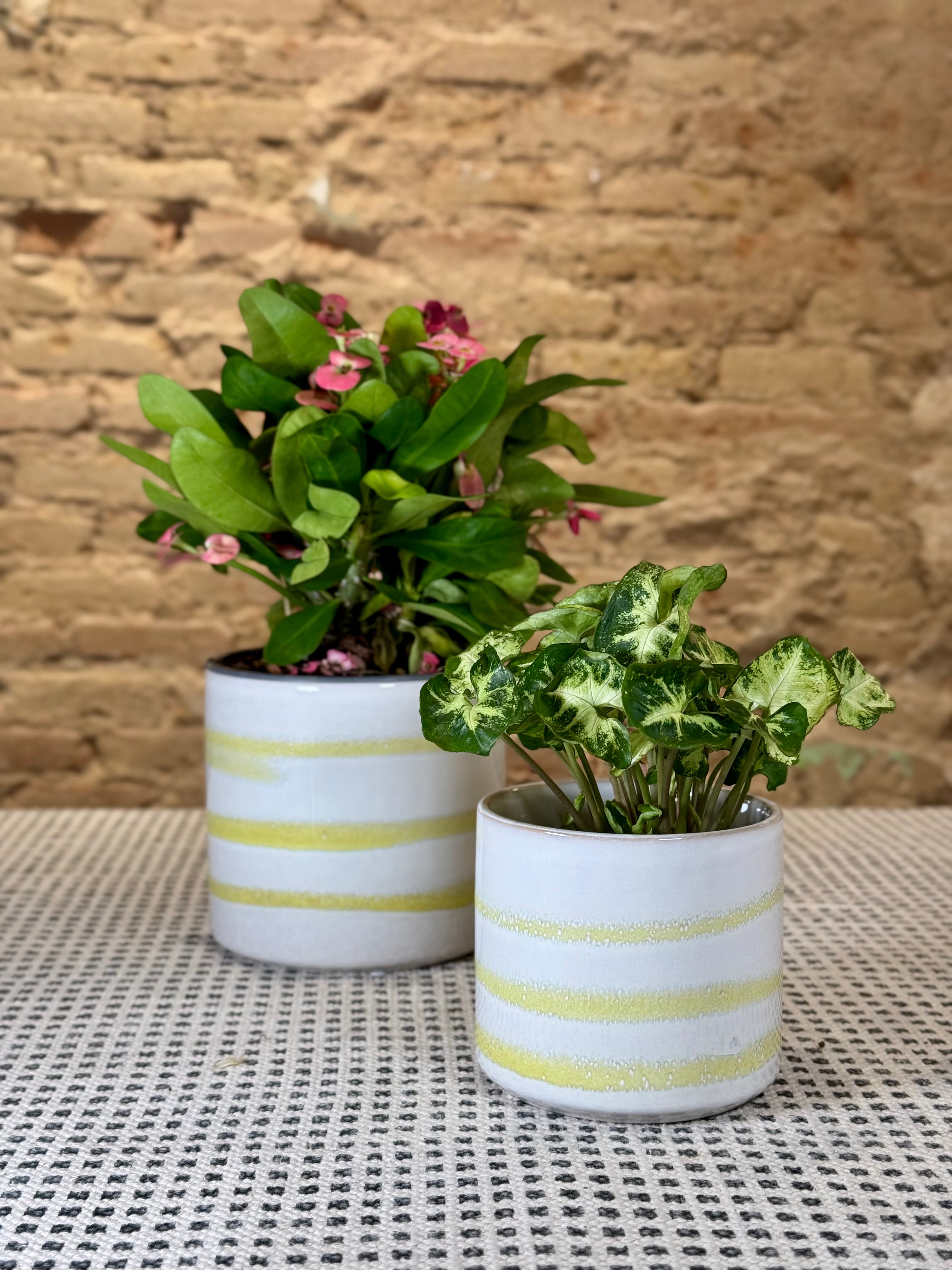 Portamacetas de Cerámica Esmaltada en Blanco con Rayas Amarillas