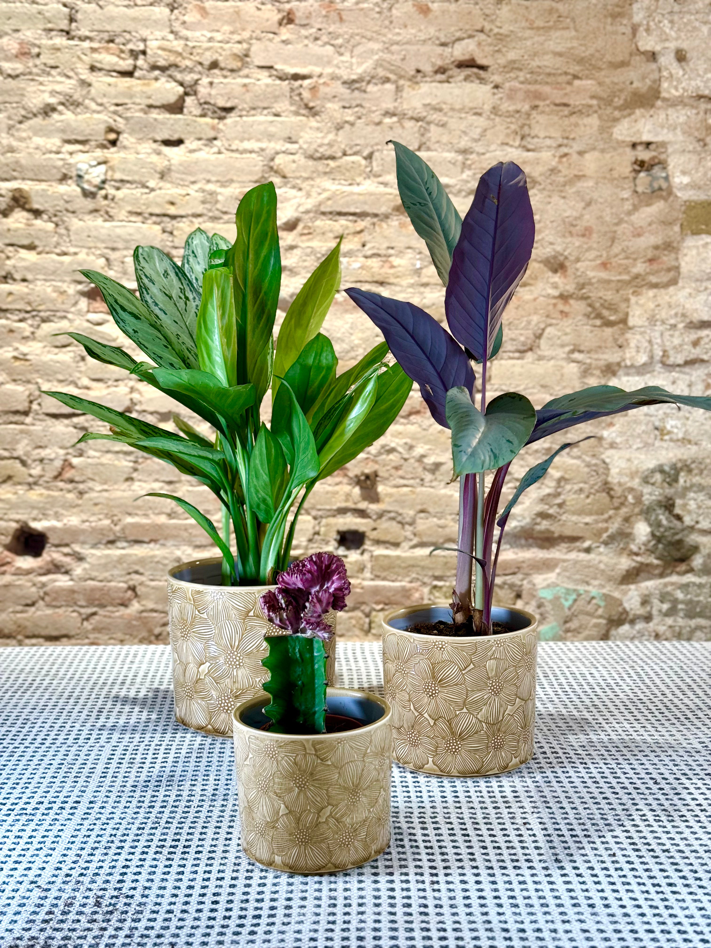 Juego de 3 portamacetas de cerámica esmaltada con motivos florales en marrón