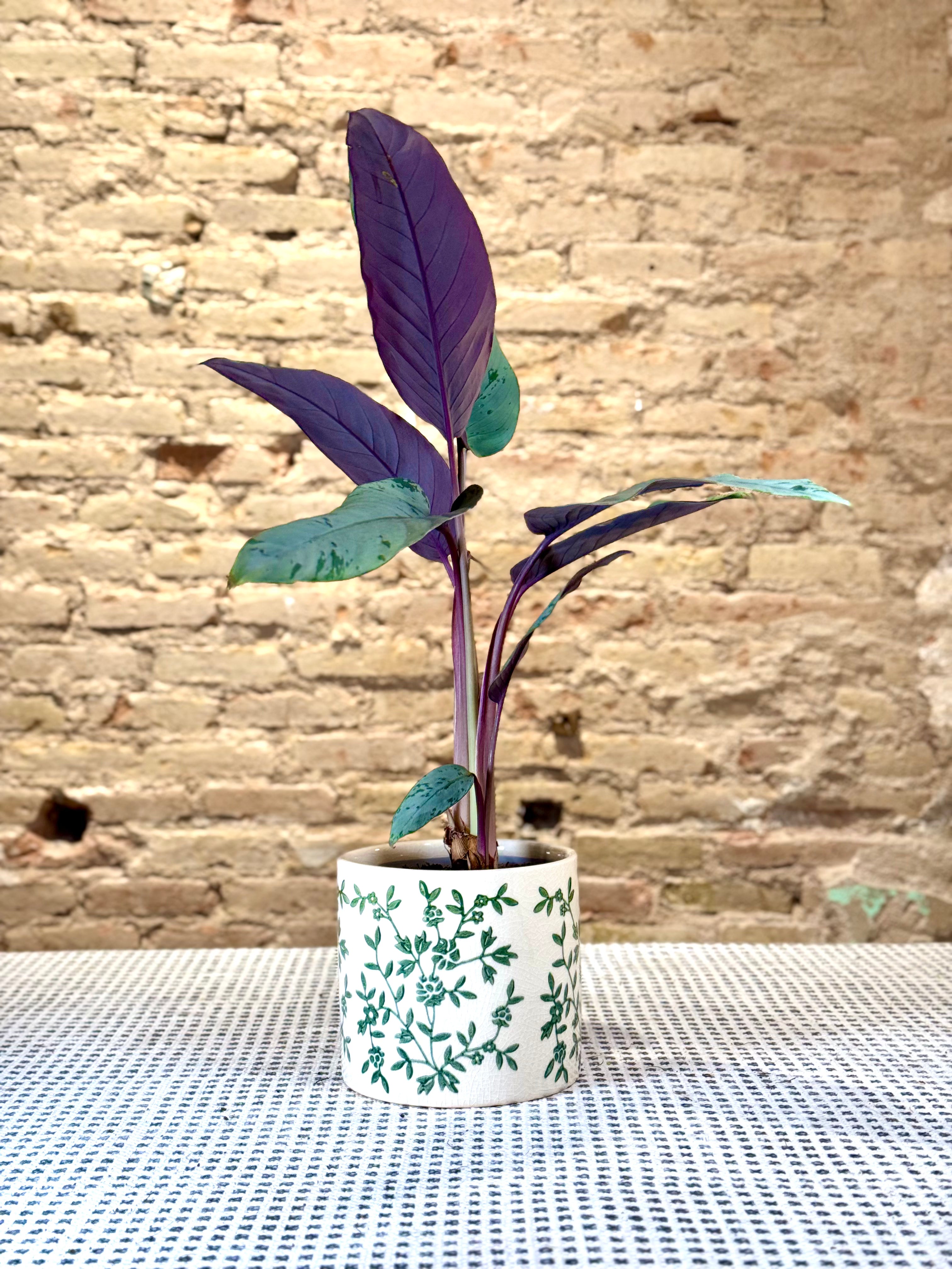 Portamacetas blanco con ramas verdes